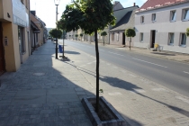 Urząd Miejski w Wolsztynie